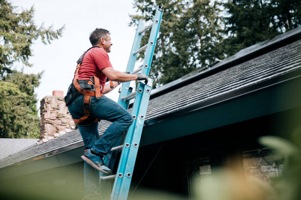 Best 4 Ply Roofing  in Oak Lawn, IL